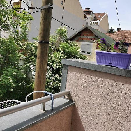 Apartmani Milica Kruševac Buitenkant foto