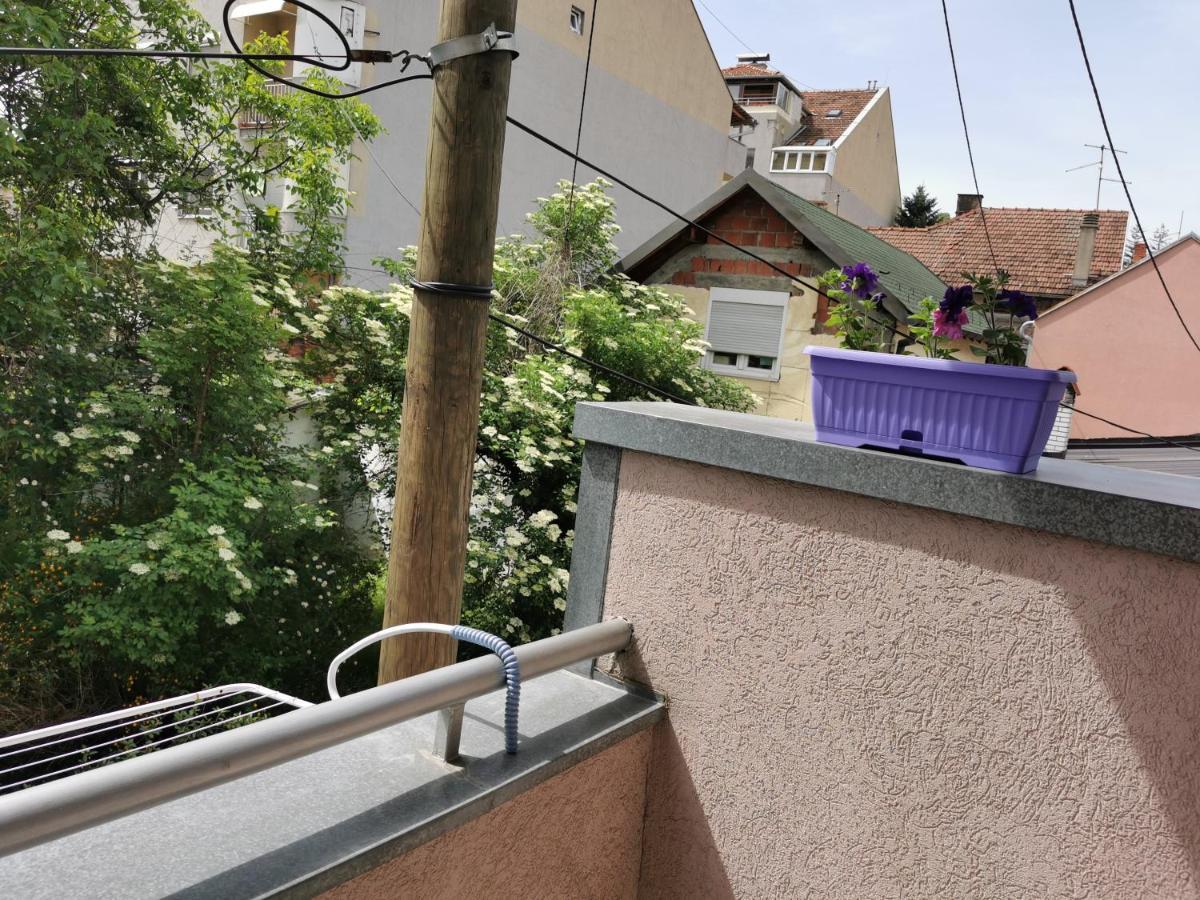 Apartmani Milica Kruševac Buitenkant foto