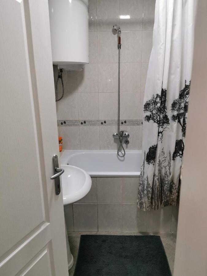 Apartmani Milica Kruševac Buitenkant foto